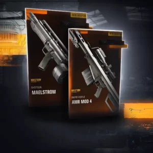 BO6 Armory Weapons Boost