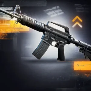 BO6 Assault Rifles Leveling Boost